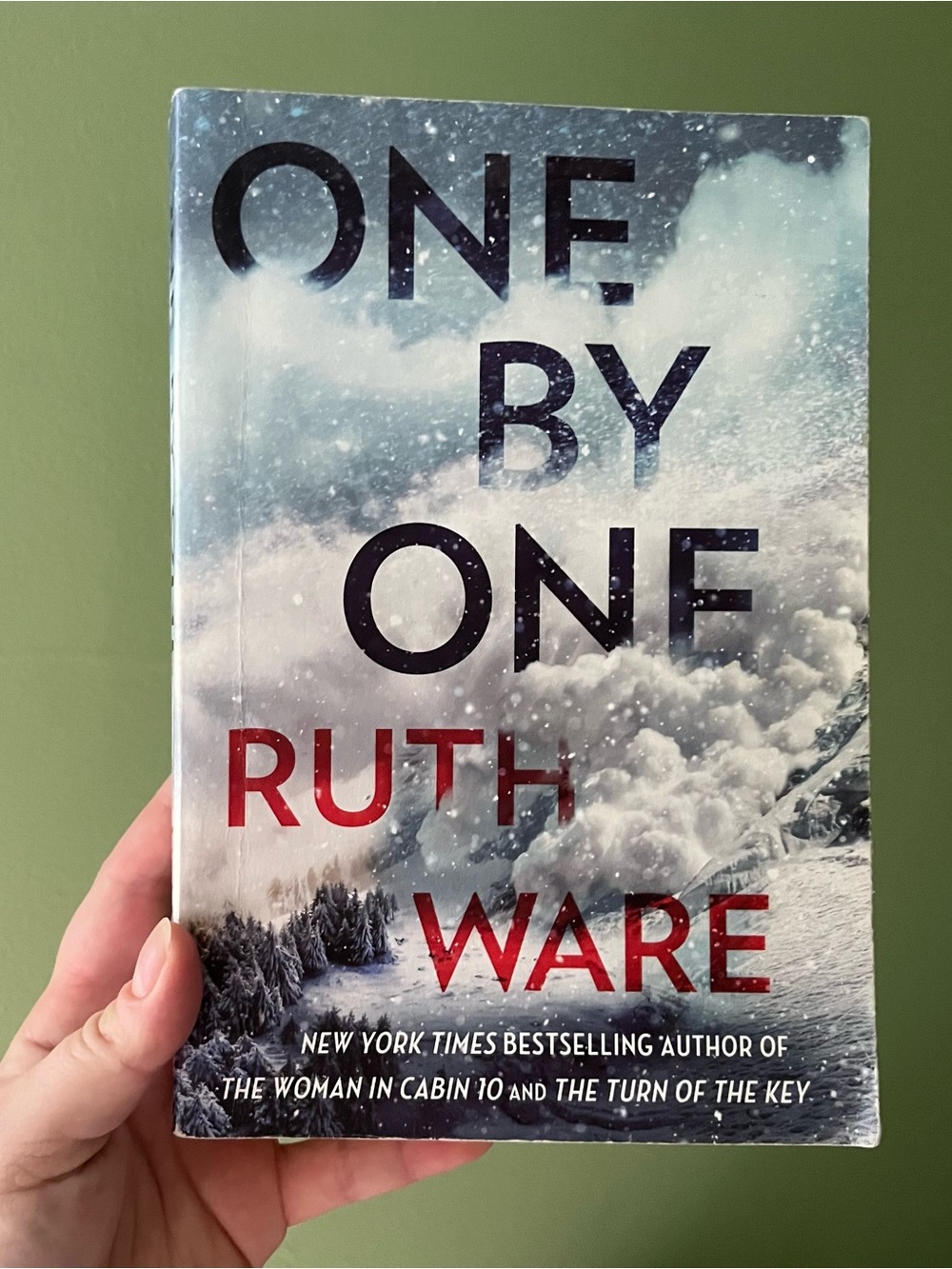 📚 4/25$ 📚 One By One by Ruth Ware | Booktok Thriller Book
